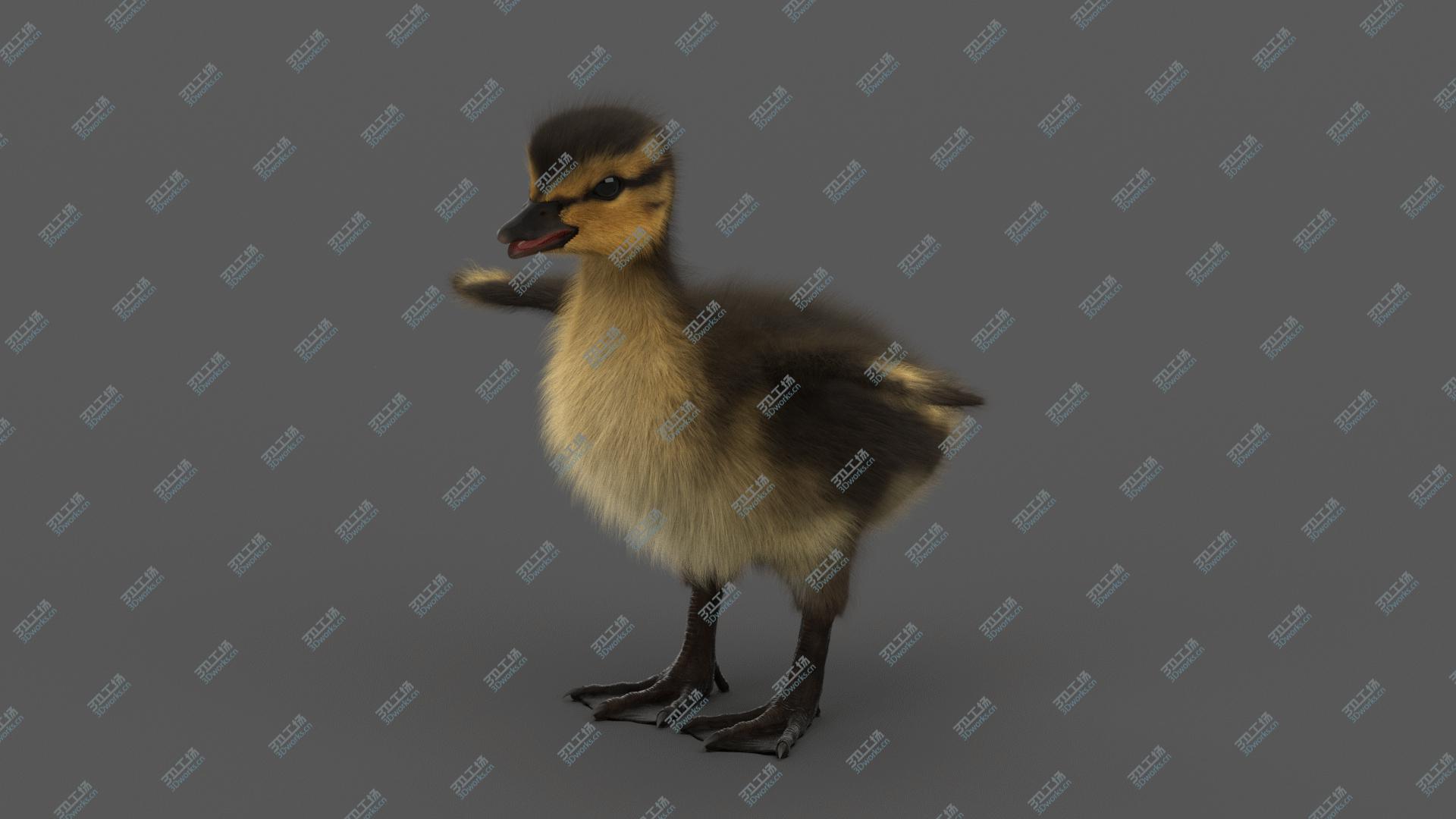 images/goods_img/20210313/Duckling 3D model/4.jpg
